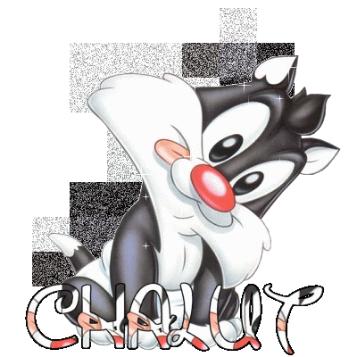 Bonsoir